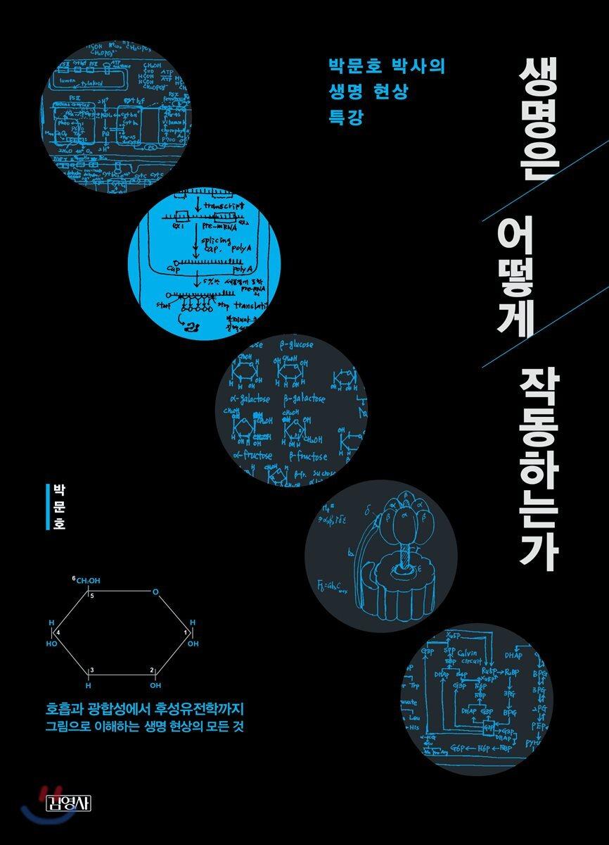 생명은 어떻게 작동하는가