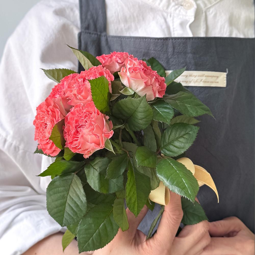 페어플 장미 생화 한다발 꽃배달 택배 배송 꽃다발 절화