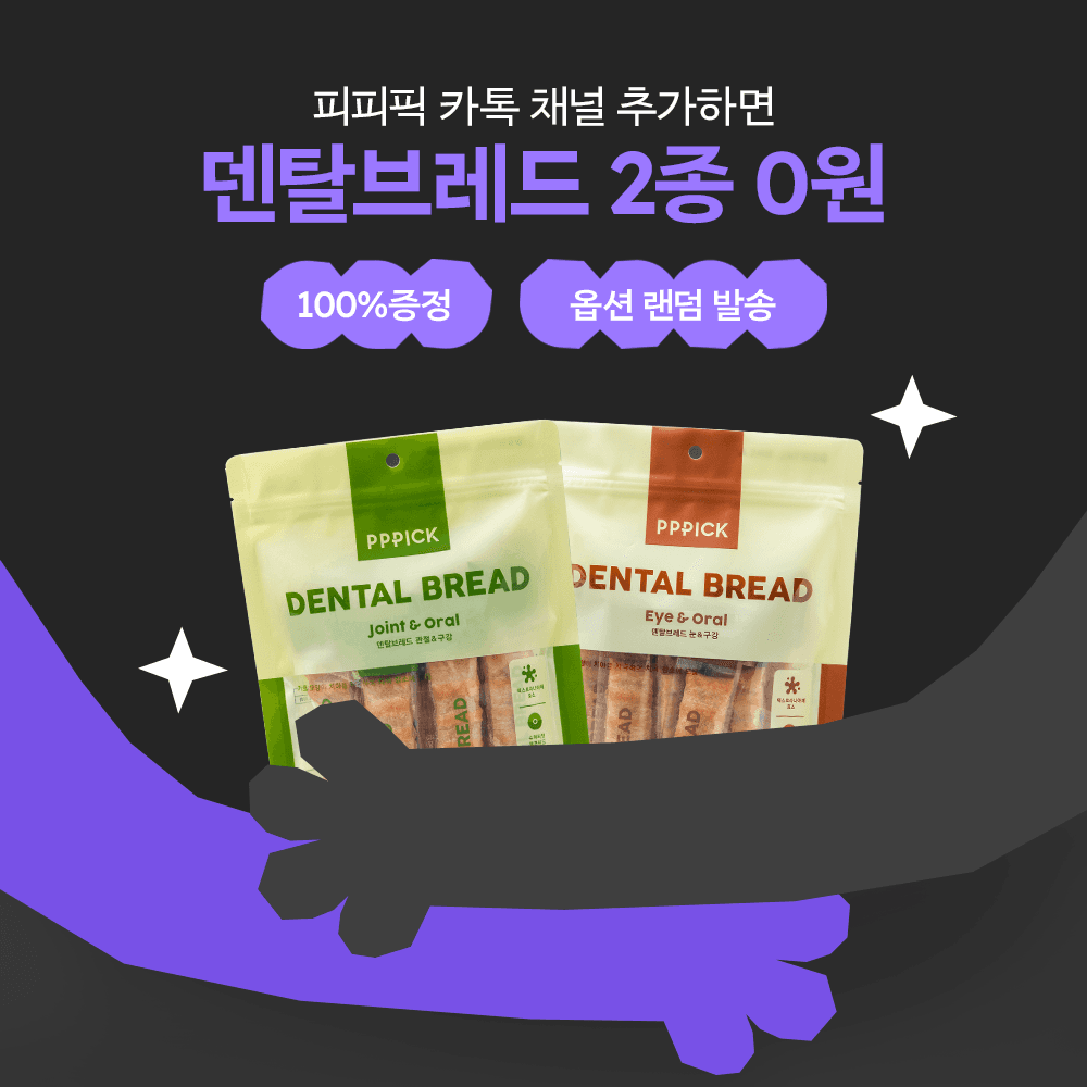 [카카오 신규가입 회원 EVENT] 피피픽 덴탈브레드 0원 (1팩 옵션 랜덤 증정)