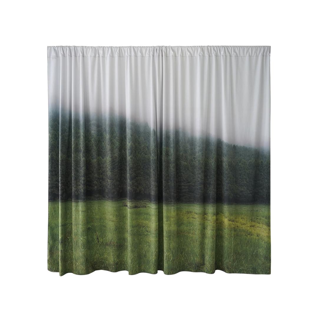 JEJU misty forest curtain