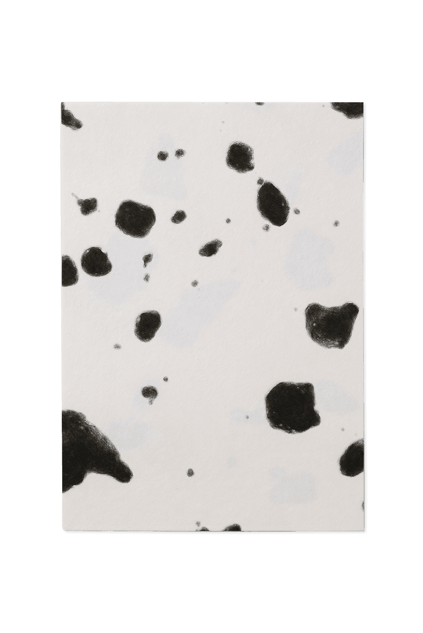 Fusuma Washi Paper A5 - Black Dot
