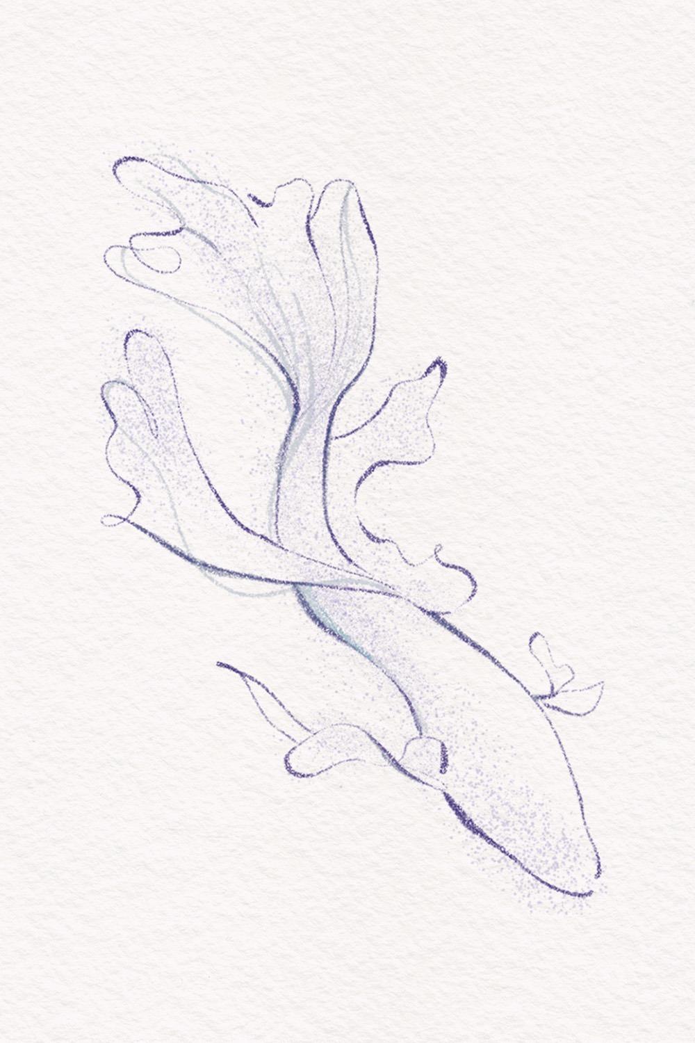 (완아) freely (2EA)