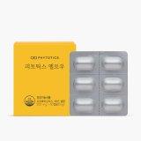 피토틱스 옐로우 500mg x 30캡슐