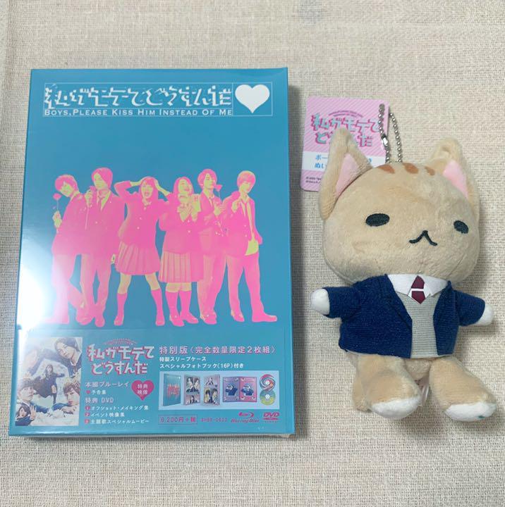 私がモテてどうすんだ 特別版