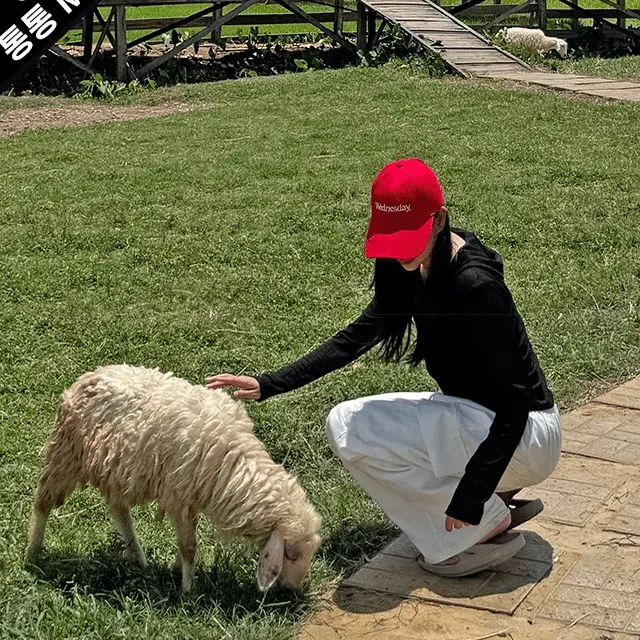 살탐방지 시스루 긴팔 단추 후드집업 [빅사이즈/통통제작]