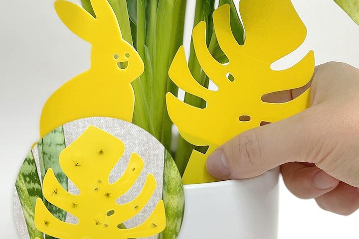 붙으시개 20매입 뿌리파리 끈끈이 초파리 나방파리 퇴치 제거