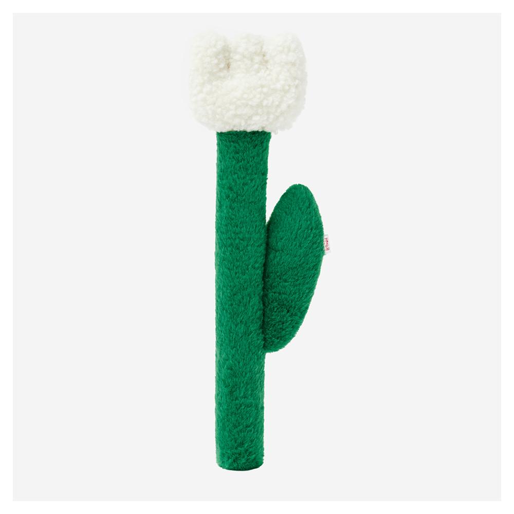 낙천적인 성격의 소유자가 재배한 사랑의 튤립 White