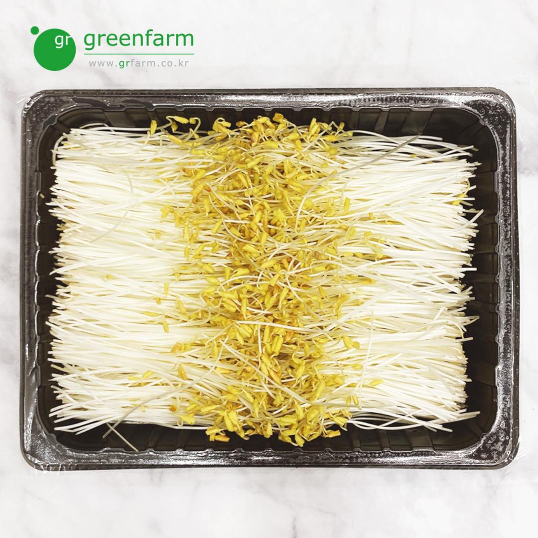 황금메밀순 1팩(500g)