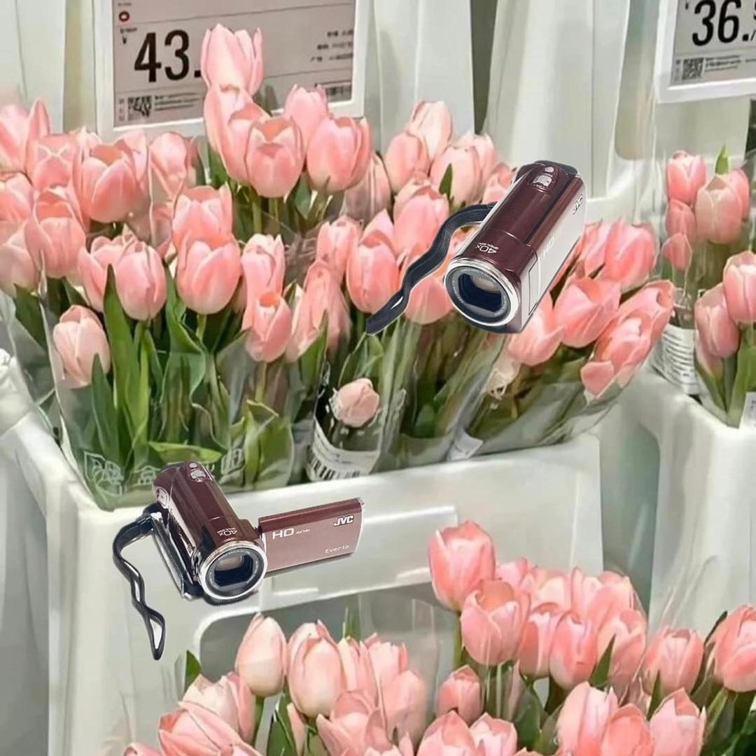 입문!) JVC Everio GZ-HM190디카캠코더 | 후루츠패밀리