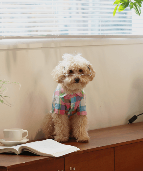 하이에브리원예(HIEVERYONEYEAH)  정과장셔츠 (메론소다) - 후기 | 무신사