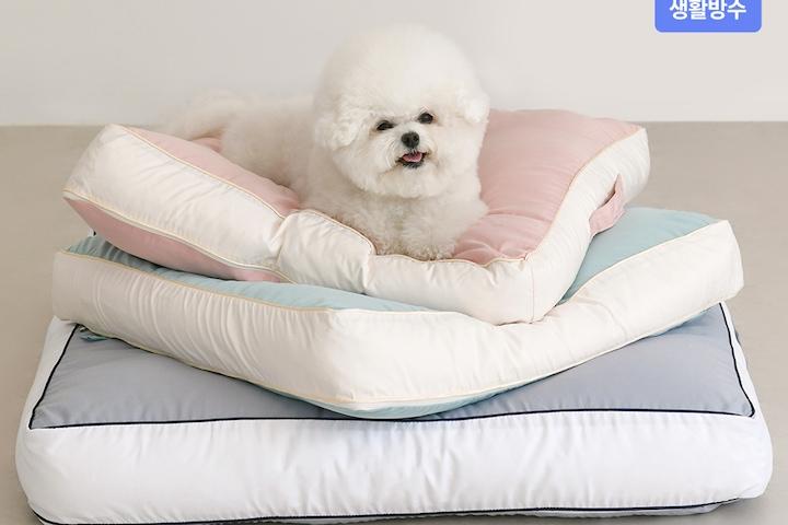 강아지 고양이 기절 댕냥쿠션/방석2size