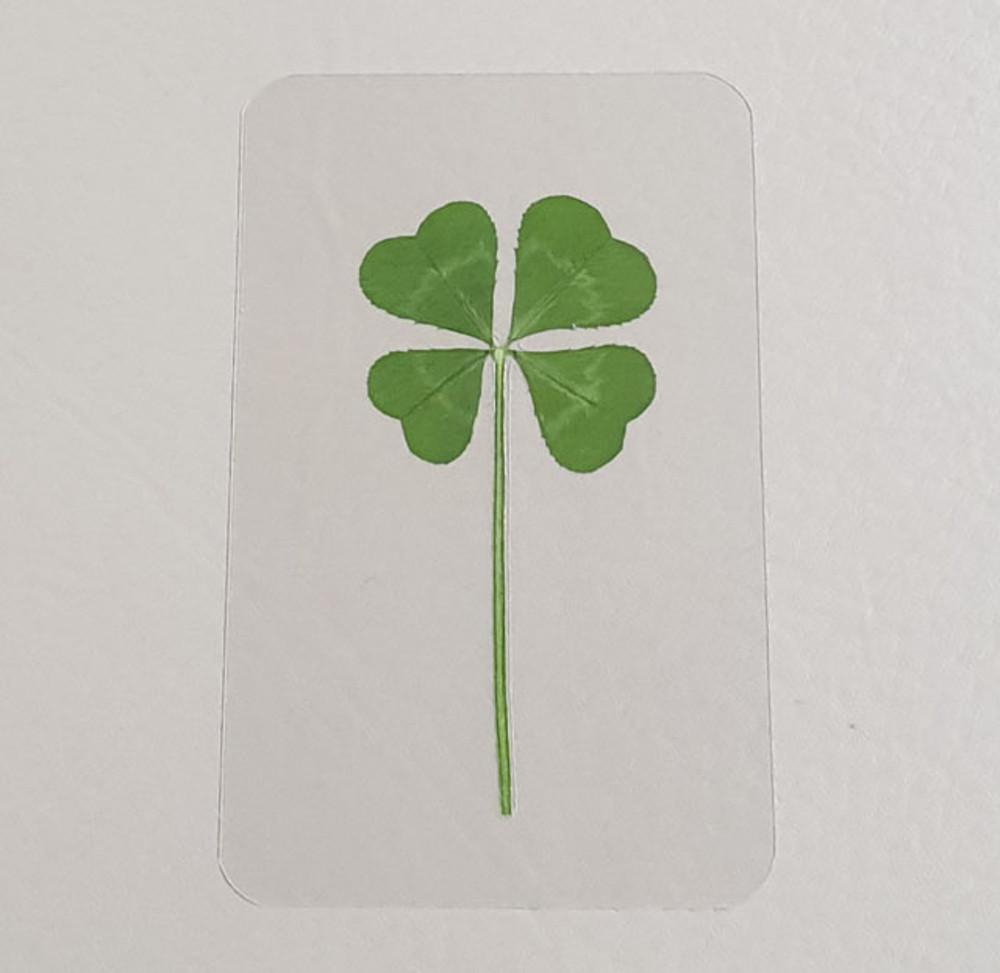 FLC 101-00(봉투없는 흰무늬 네잎클로버코팅카드)