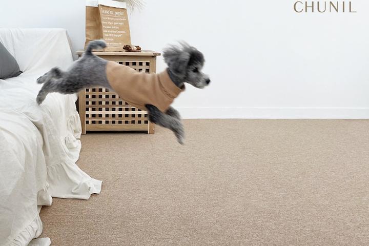 50x50강아지매트 고양이애견미끄럼방지 슬개골탈구 펫거실 카페트