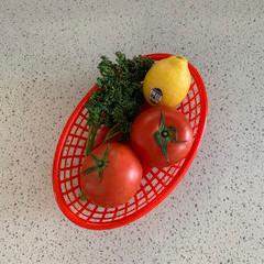 [피클샵] 컬러 스낵 바스켓