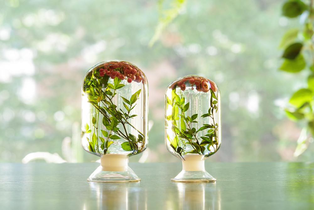 스타일지음 하바리움_썸머베리 [자만셀렉션]