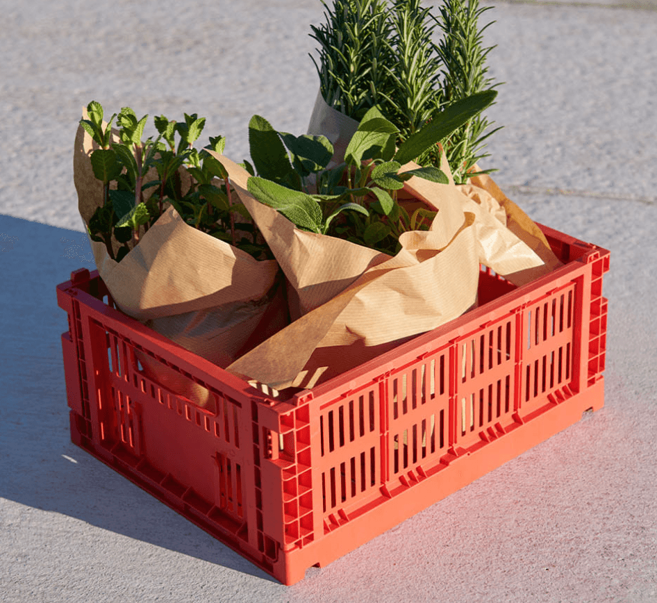 HAY - Colour Crate M (5 Colors)