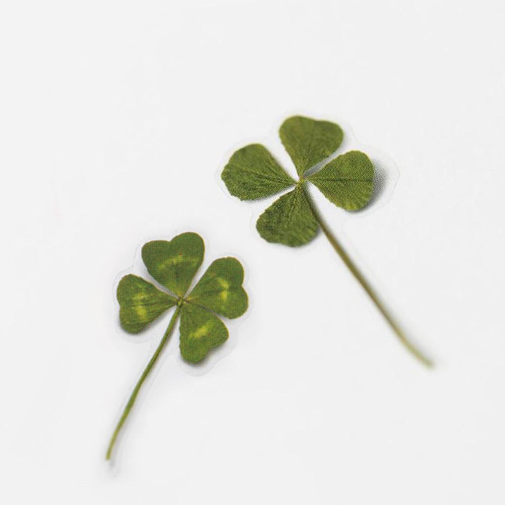 네잎클로버 스티커 행운 소원 압화 스티커 감성 데코 다이어리꾸미기