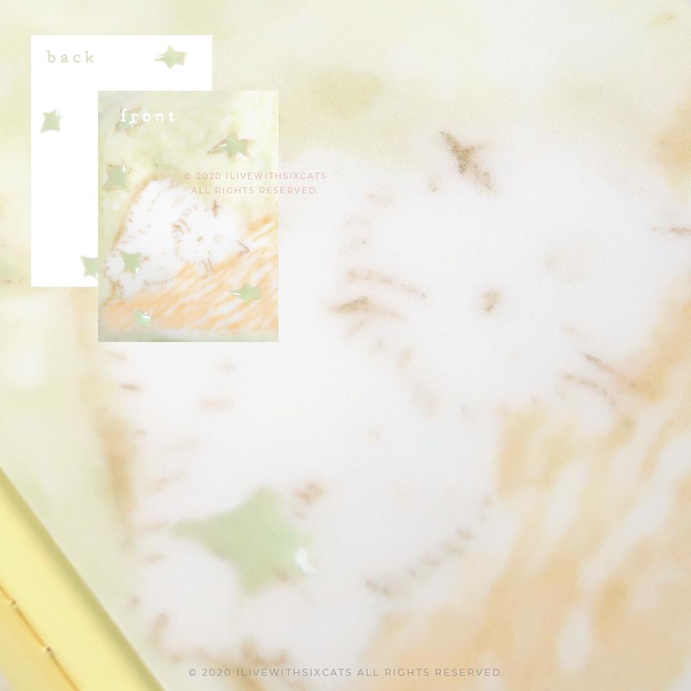 [엽서] moonlit cat ₊˚