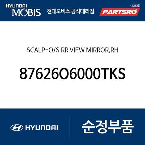 사이드미러커버 (리피터 깜빡이 없는 타입),조수석쪽 (톰보이 카키) (87626O6000TKS) 캐스퍼 (AX1)