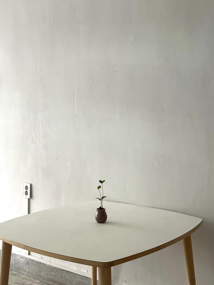 Only one Pot 멕시코 소철