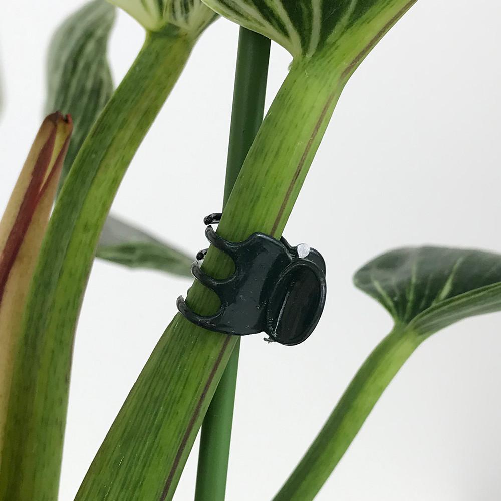 지지대 고정 클립 식물 지지용 원예용 가드닝 소30개