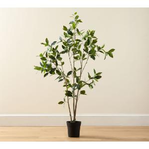 베이 리프 트리_5FT(그린)