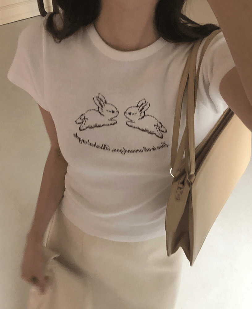 Rabbit (t)