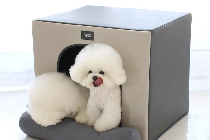 항균 365에브리데이 강아지 하우스 1.0 (사계절) 3colors
