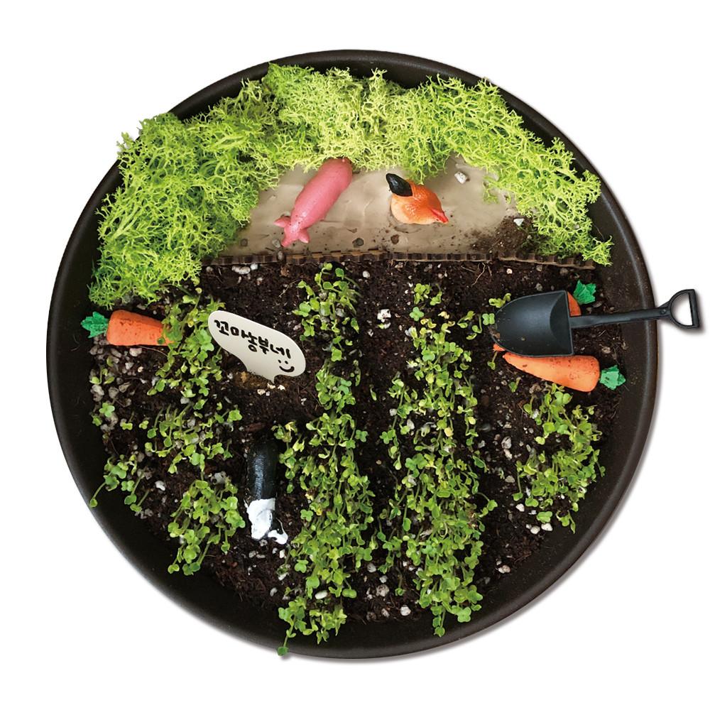 꼬마 농장 스몰월드 / 어린이 놀이 식물키트 유치원 어린이집 봄 만들기 식목일 활동