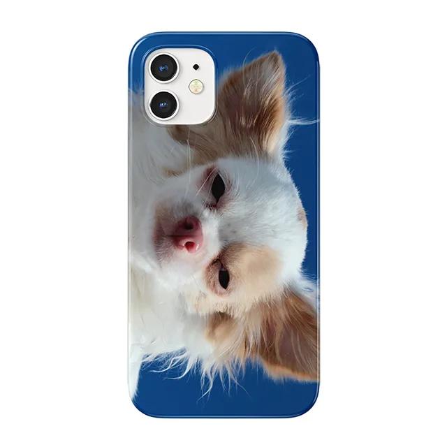 chihuahua case