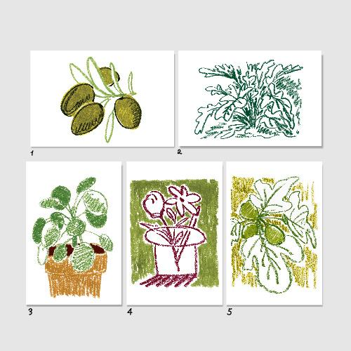 [엽서] Greenery Postcard 5종세트