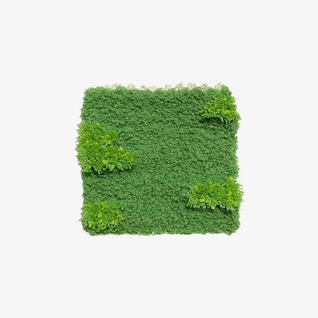 the grass coaster