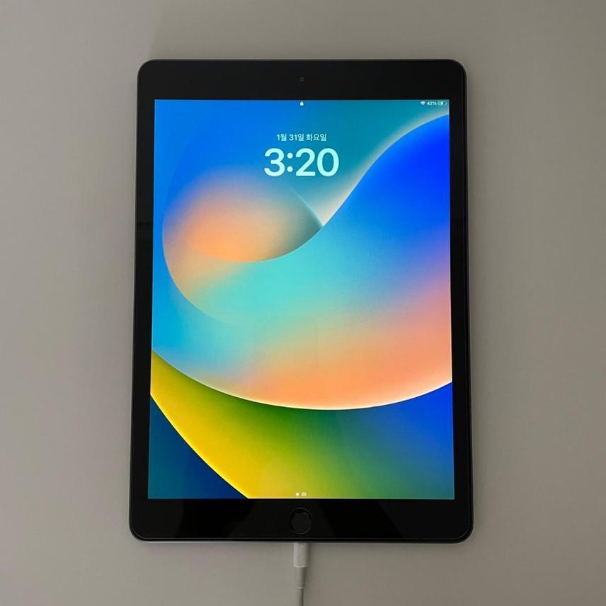 애플 아이패드 7세대 32GB wifi 스페이스그레이 ipad 스그