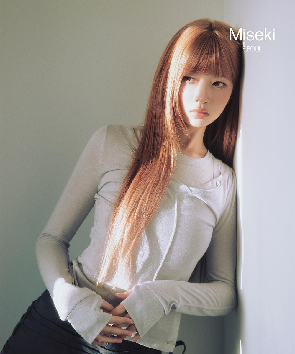 Layered line sheer long sleeve GREY