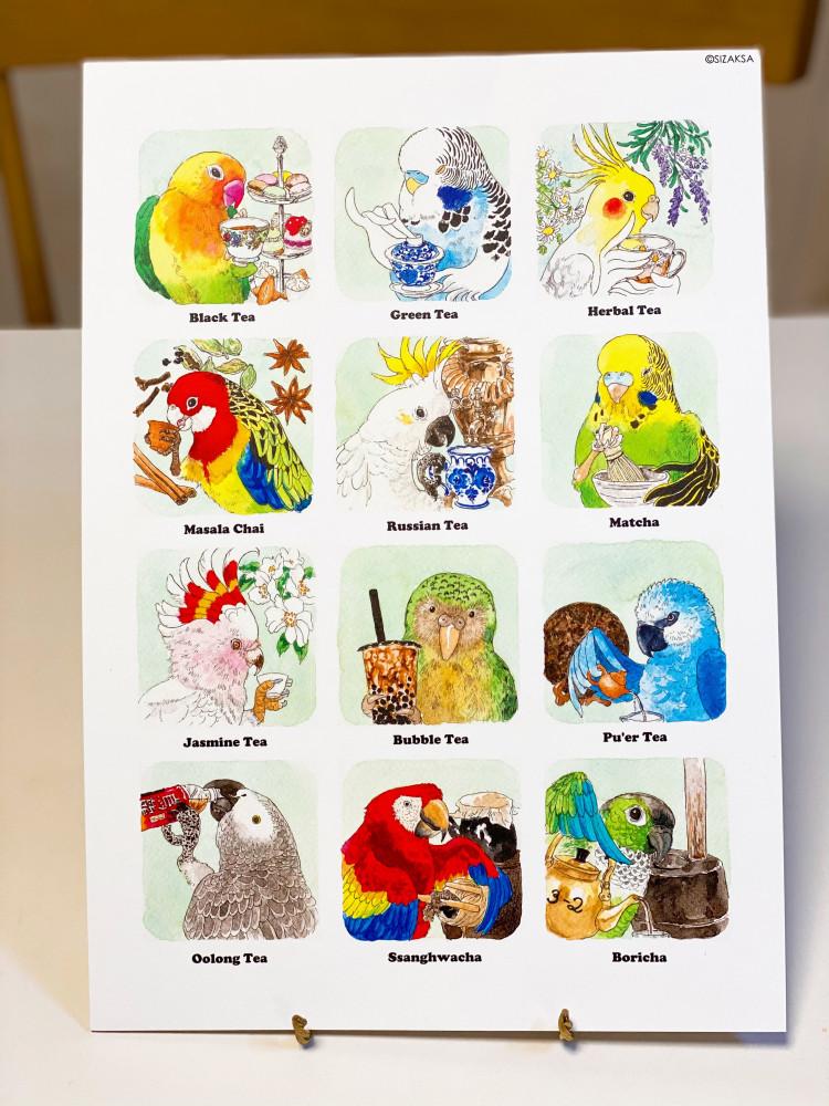 차 마시는 앵무새  A4사이즈 아트프린트