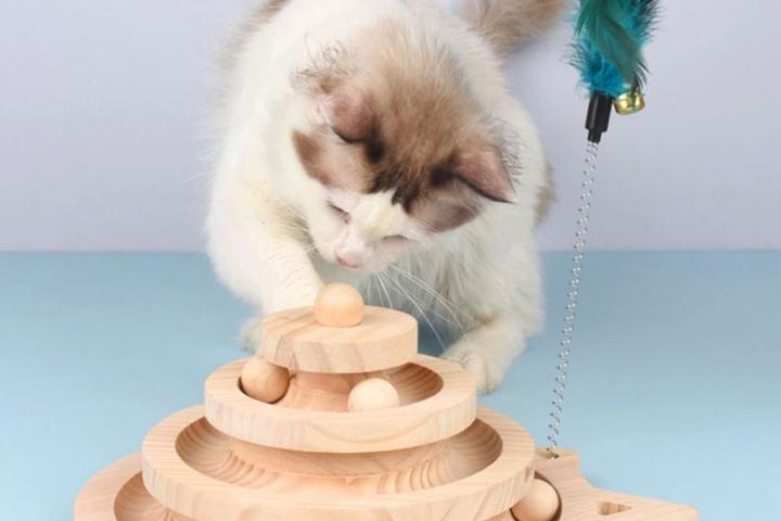 고양이 원목 장난감 행동유발 냥냥펀치 토이볼