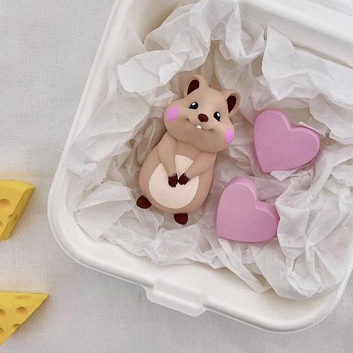 [당일발송] 귀염뽀짝🤎 쿼카 차량용 석고방향제