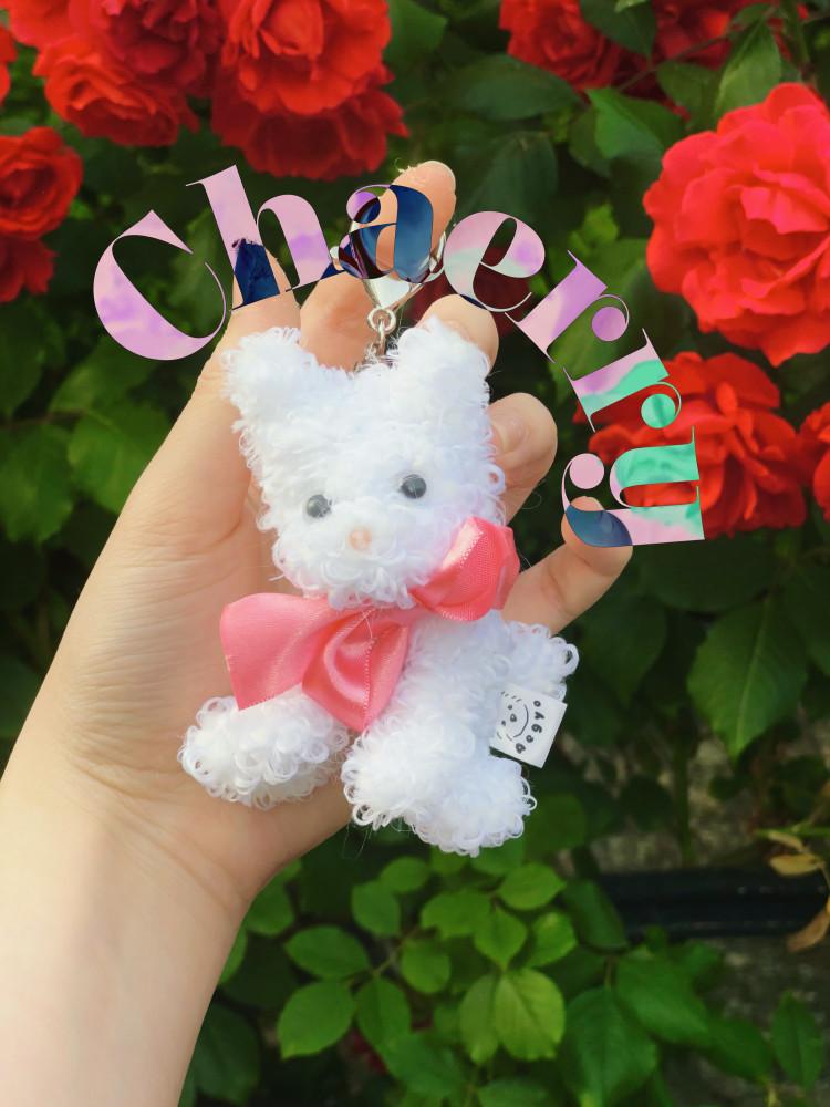 앙큼한 아기 고양이 채리 chaerry 키링