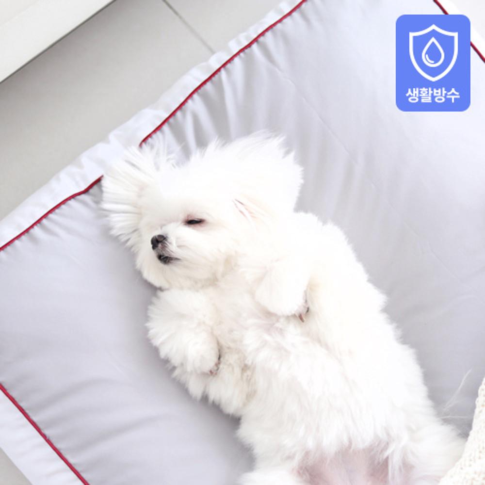 기절 댕냥 (방수)쿠션