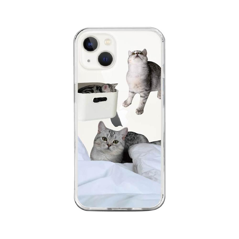 BABY CAT  - HARD JELL CASE 젤 하드 케이스