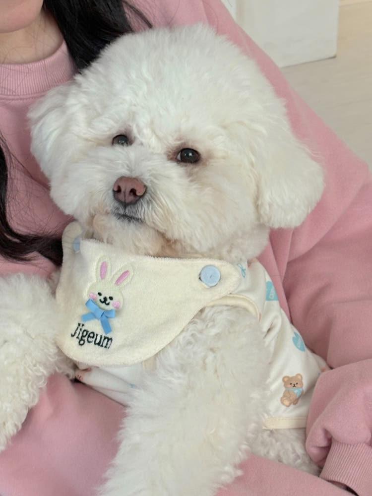 [5차] 고미토미 빕 베스트 - 자수포함