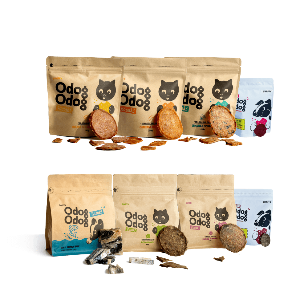 [판매 1위] 오독오독 바삭 골라담기 (3개 이상 구매시 5% ,6개 이상 구매시 15% 추가할인)