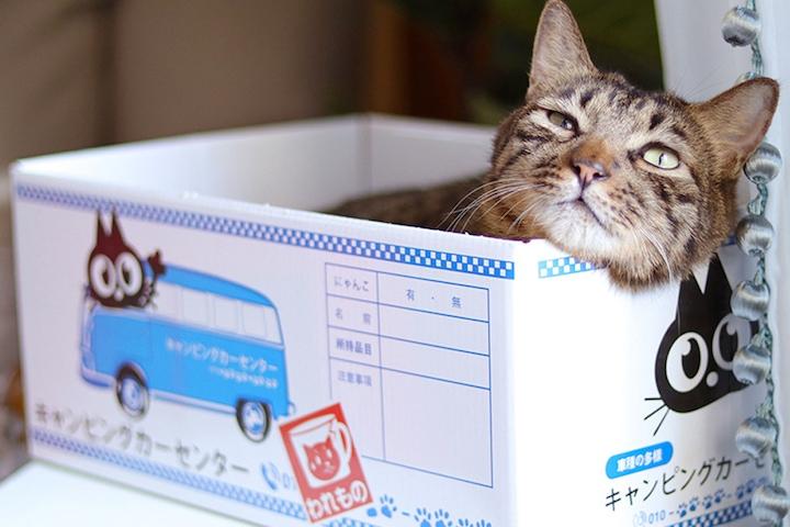 가리가리 사각 박스 스크래쳐