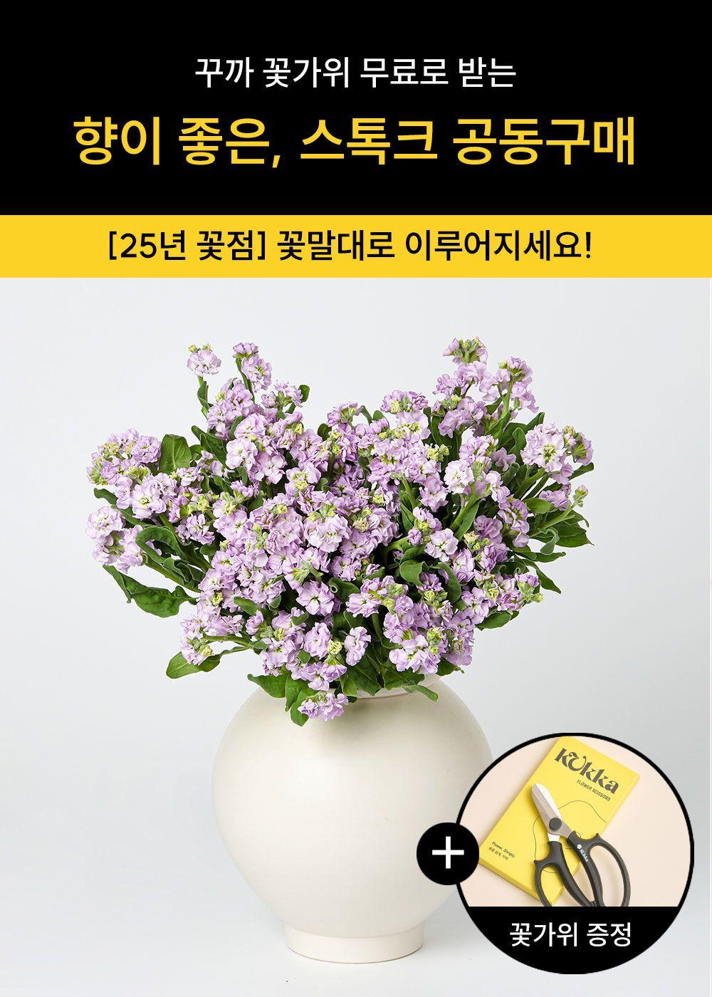★ [공동구매] 프랑스 신사들의 꽃 <스톡크> - 꽃가위와 화병 무료 증정(선착 100명)