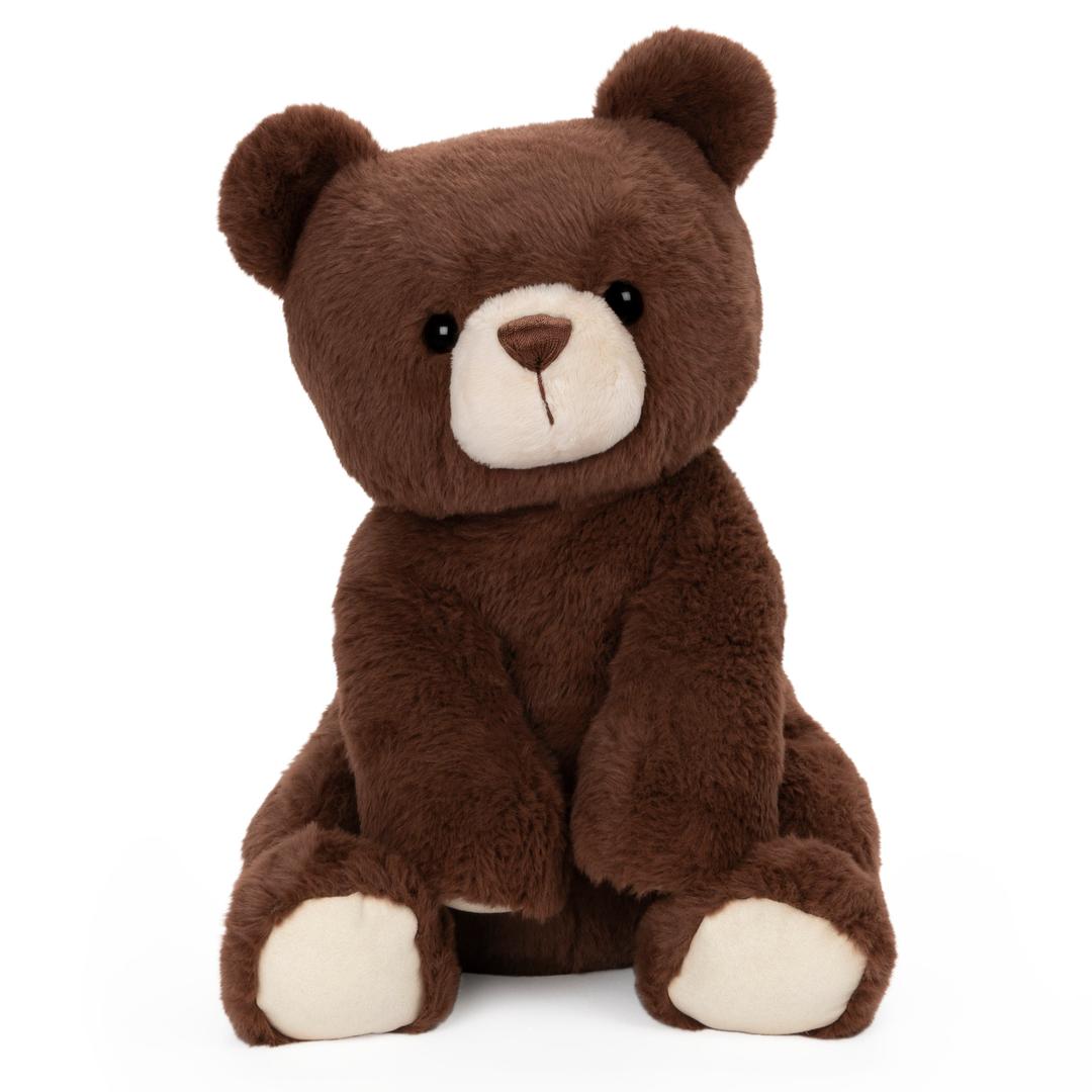 Finley Bear, 13 in