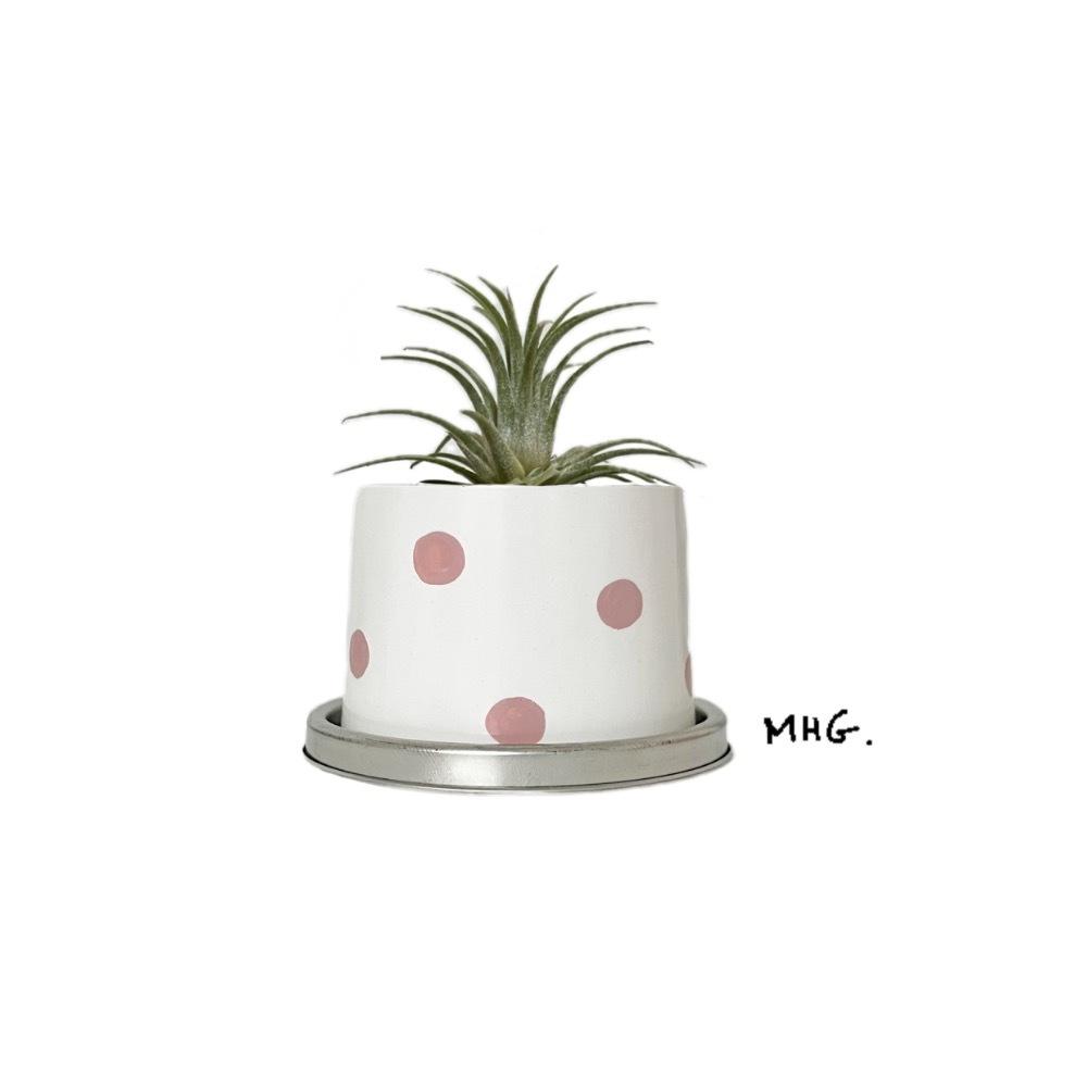 라즈베리 도트팟