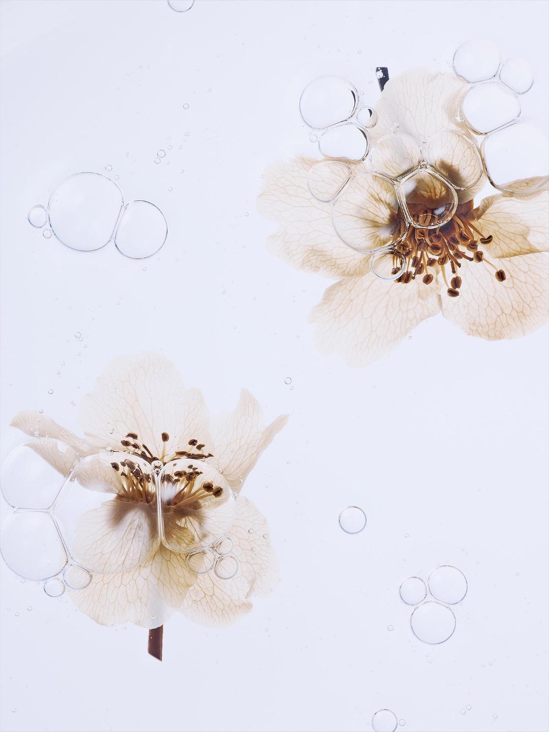 [화미사] 유기농 배꽃 발효 에센스 토너 160ml