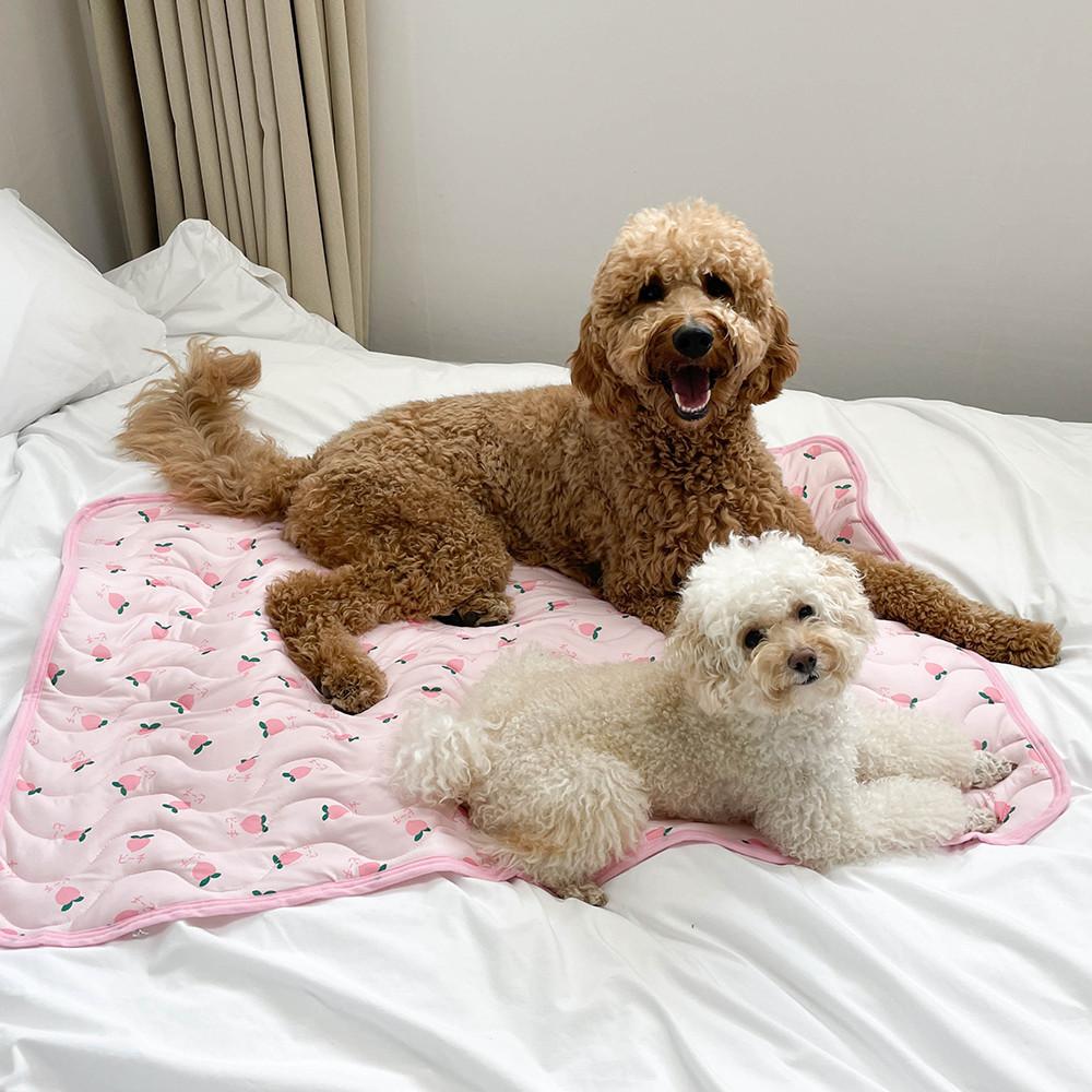 강아지 고양이 여름 냉감 쿨방석 쿨매트(패드타입-복숭아XS)