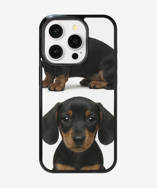 Dachshund rabbit glass bumper case
