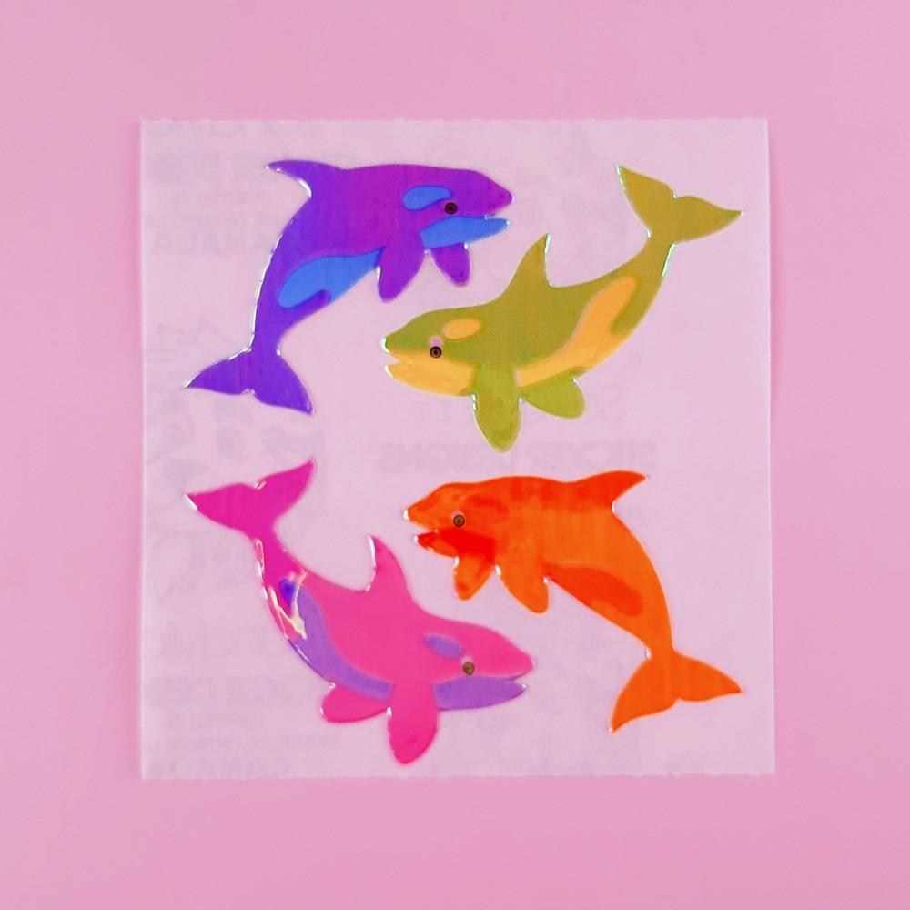 [펄리] 범고래 샌디라이온